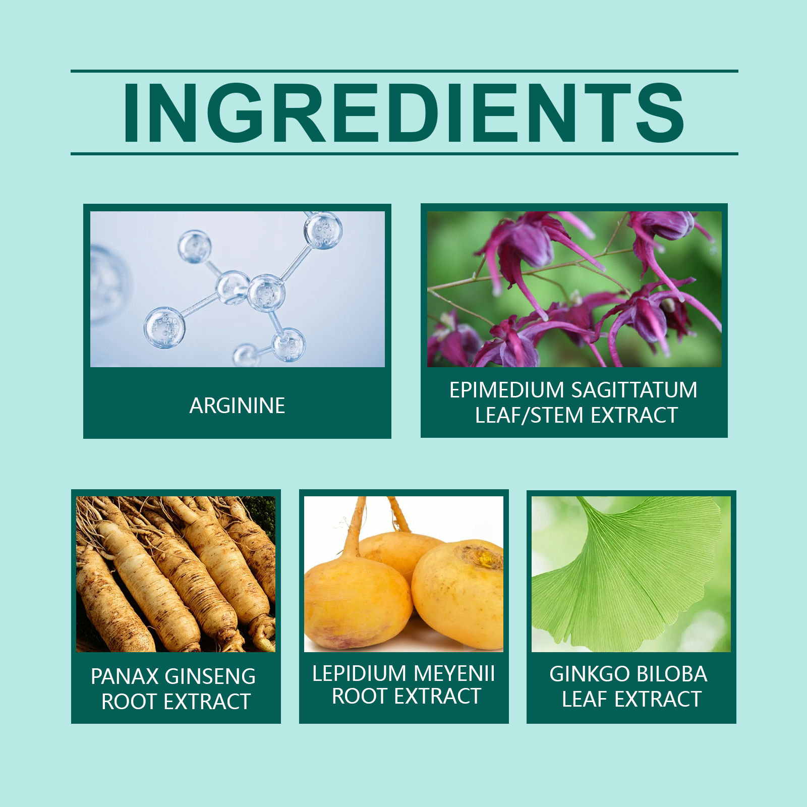 North Moon Men's Care Cream Enhance Comfort Men's Vitality Moisturizing Body Care Balm