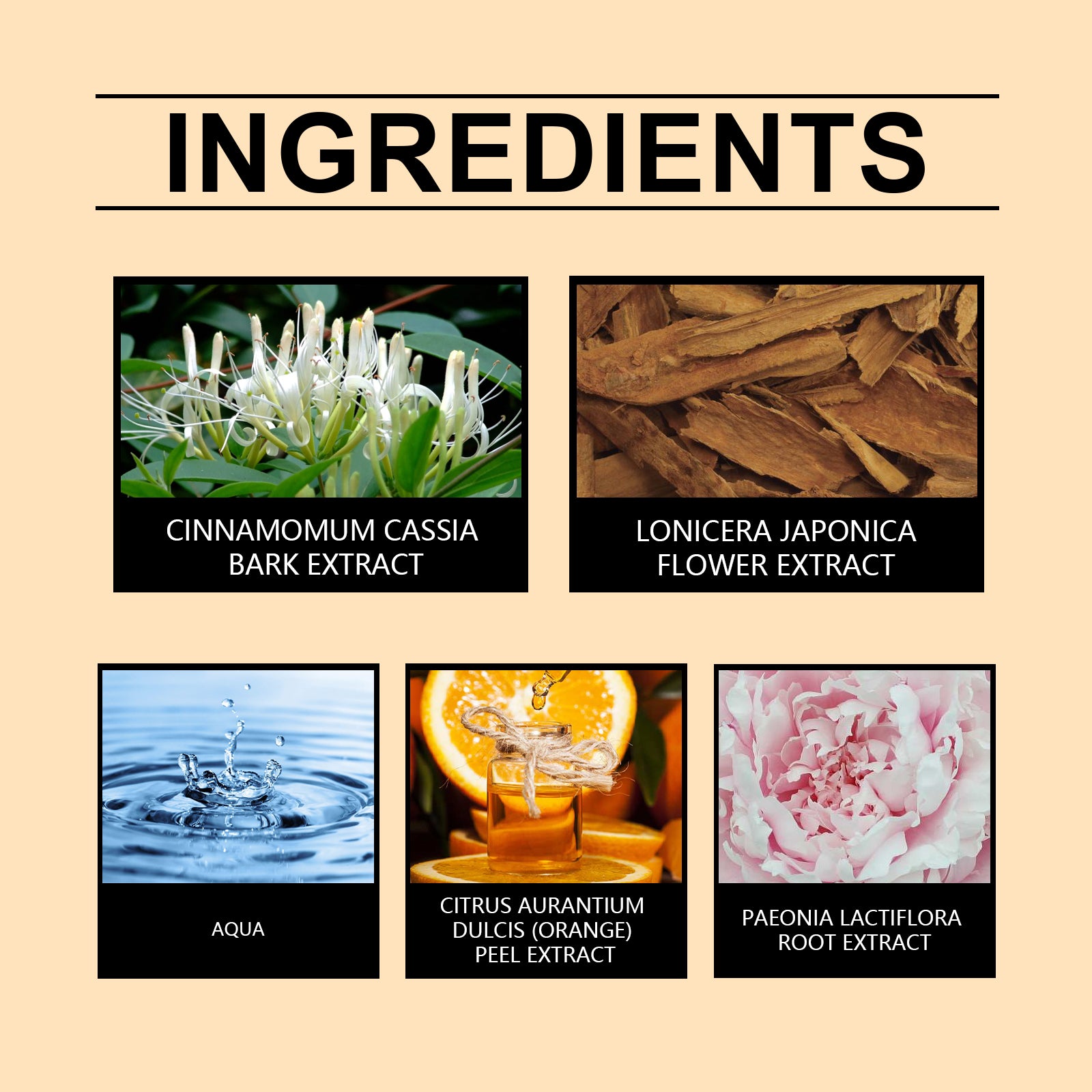 Roxelis Eau de Toilette Spray Men's Perfume Cologne Citrus Scent Fresh Charm Portable Fragrance Spray