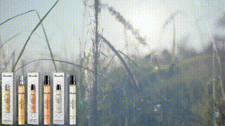 Roxelis Eau de Toilette Spray Men's Perfume Cologne Citrus Scent Fresh Charm Portable Fragrance Spray