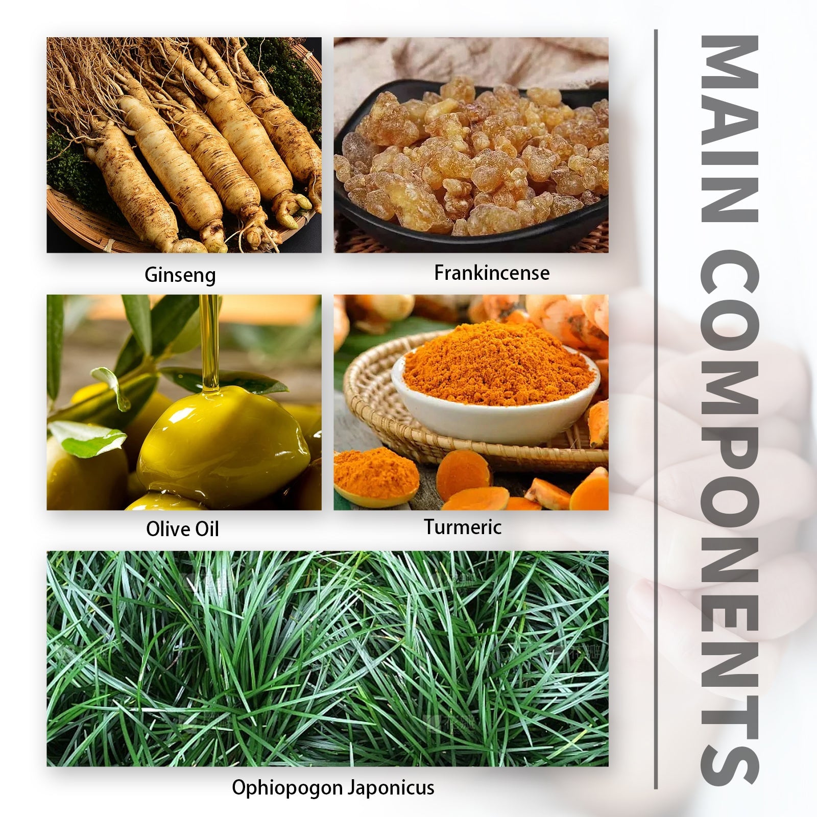 North Moon Body Nursing Adhesive Bandage Men's Body Strengthening Care Navel Patch Warm Kidney Protect Yang Kidney Patch