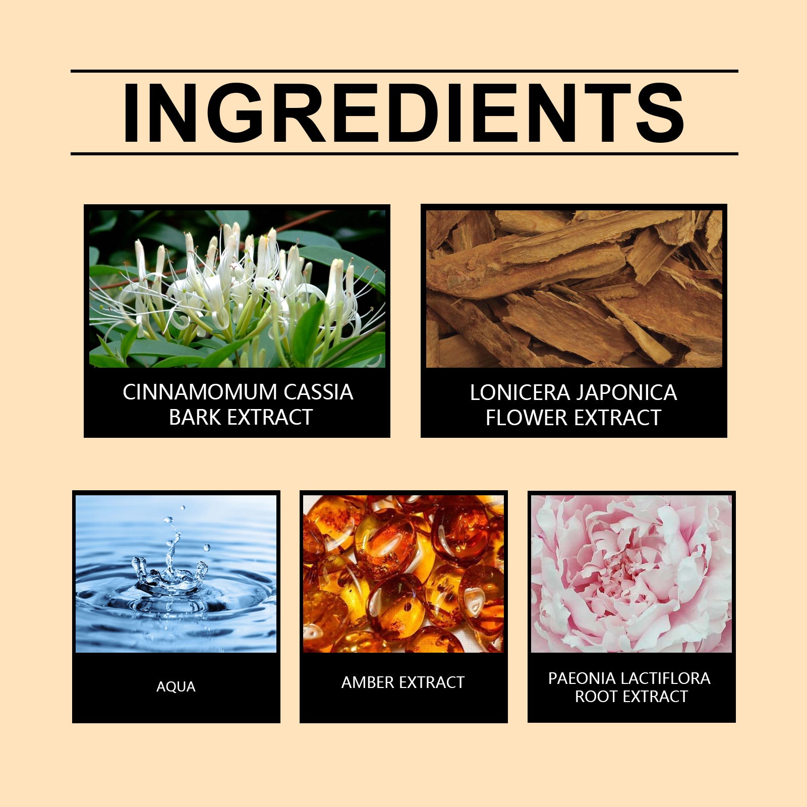 Roxelis Eau de Toilette Spray Men's Perfume Cologne Citrus Scent Fresh Charm Portable Fragrance Spray