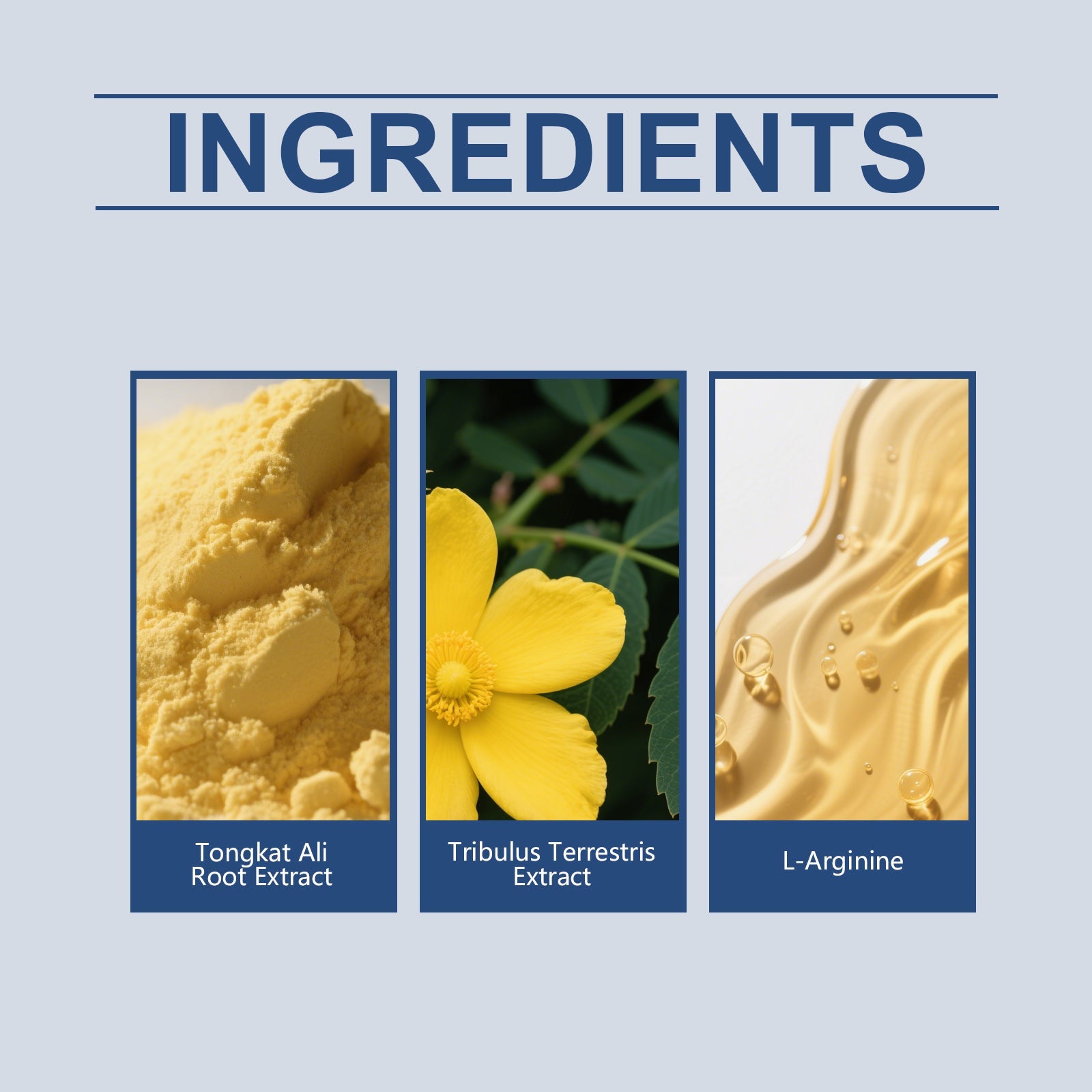 AMZ Men's Care Drops Gentle Care Nourishing Enhance Vitality Boost Energy Men's Daily Dietary Supplement