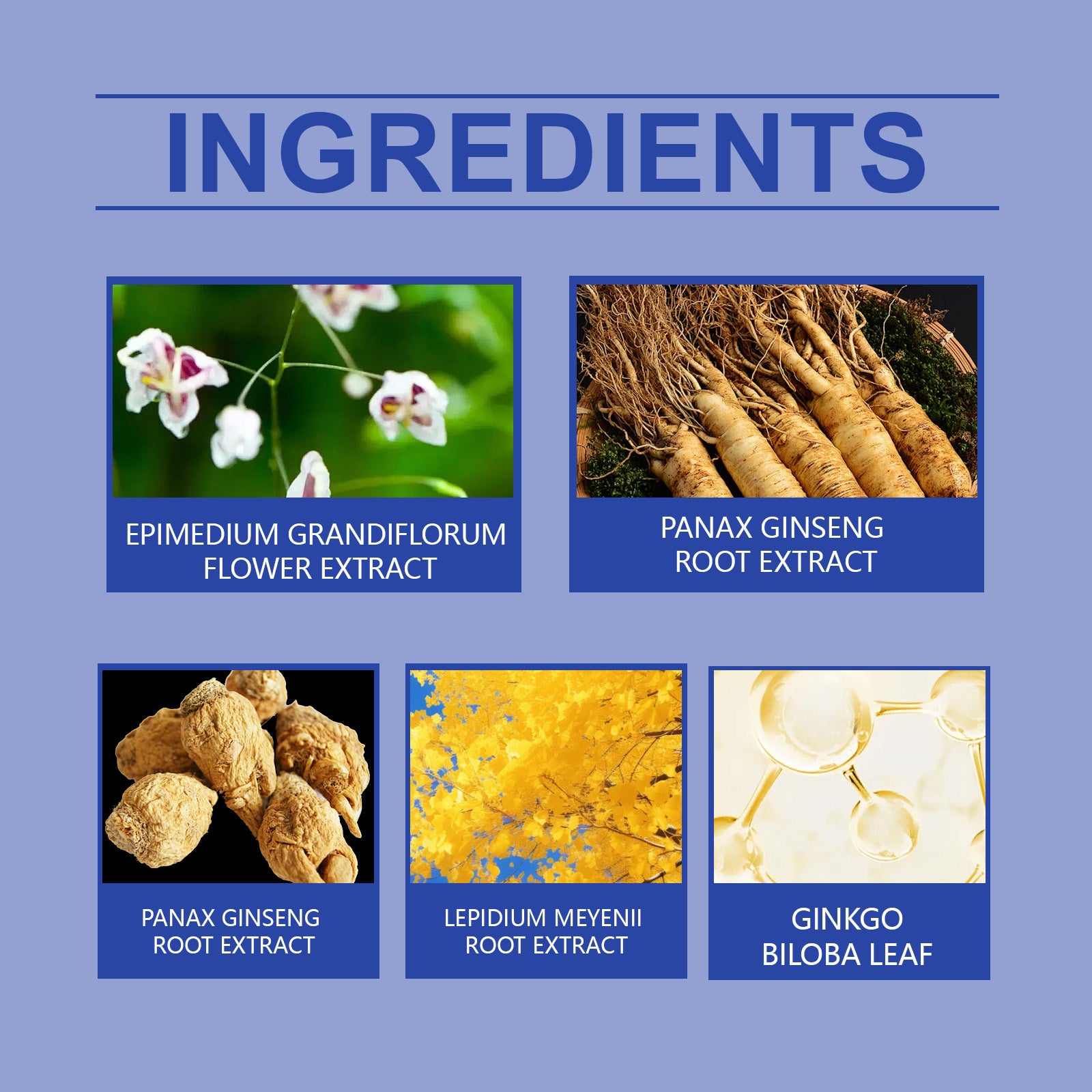 North Moon Men’s Vitality Care Spray