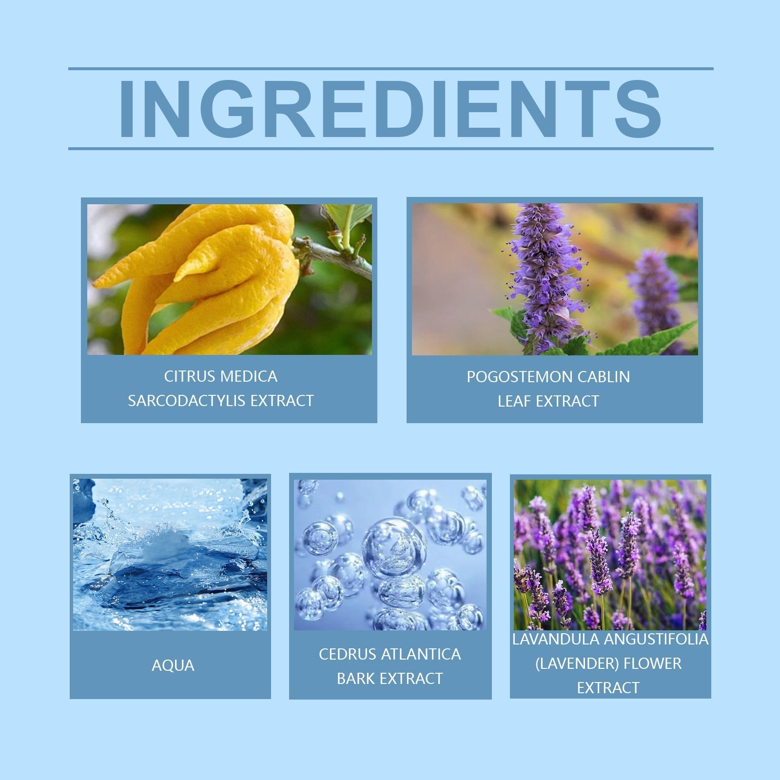 Roxelis Personalized Men's Perfume Bergamot Fragrance Lasting Release Men's Charm Couple Dating Atmosphere Perfume