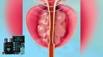 Laniska Male Care Nasal Inhaler Enhance Male Vitality Relieve Discomfort Body Improvement Nasal Inhaler